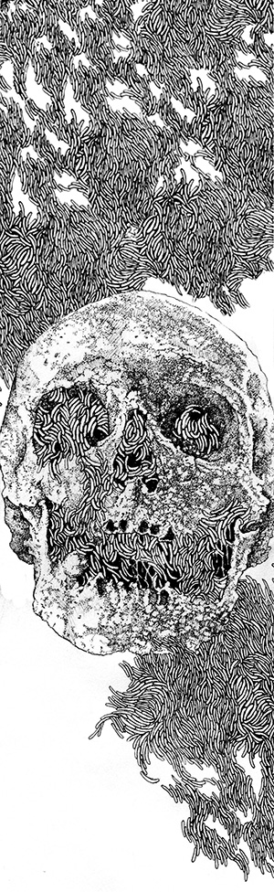 Maggot Skull version II [longer]